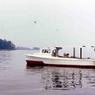 003  JJ Crabbing Boat 1995 claiborne md003