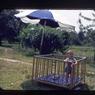 011  Baby Therese  Summer  1953011