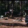 37_camping_trip_1959_Adirondaks_NY037