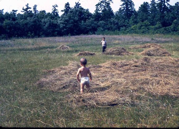 014  molnar farm  july 1953 family014