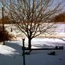 023  1977 447 line road023