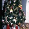 053 Janurary   1979   447 line road053