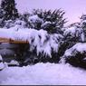 062  January 1979     447 line road062