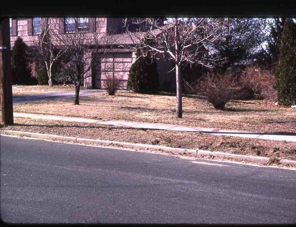 071  Feburary  1979     447 line road071