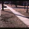 072  Feburary  1979     447 line road072