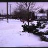 077  March  1979     447 line road077