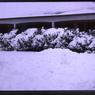 079   March  1979     447 line road079