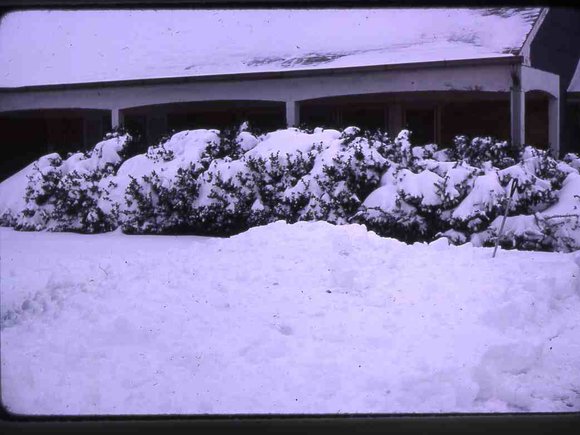 079   March  1979     447 line road079