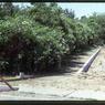 083  July  1980    447 line road083