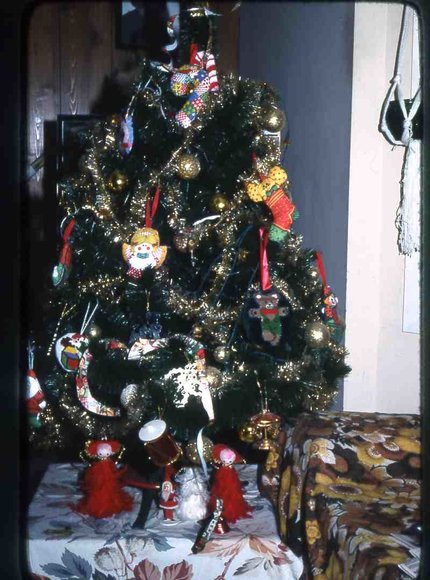 094 Janurary 1979 447 Line Road094