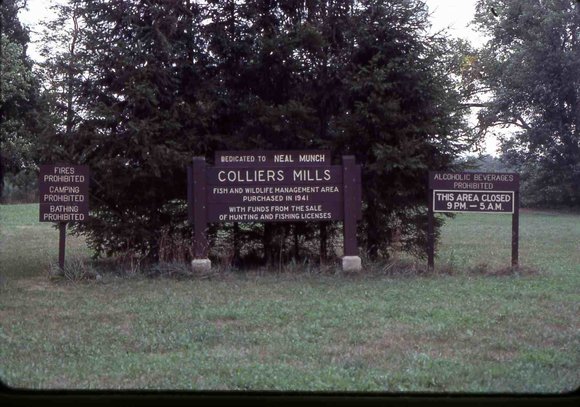001  august 1980001