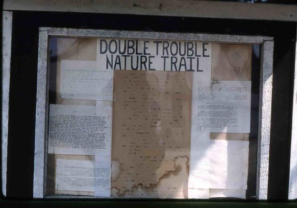 029 Double Trouble picnic area August 1981 July 1980029