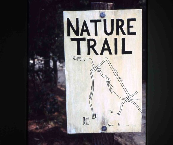030 Double Trouble picnic area August 1981 July 1980030