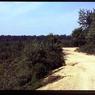 031 Double Trouble picnic area August 1981 July 1980031