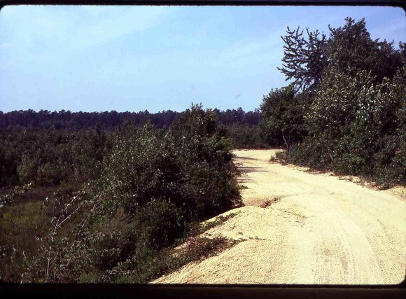 031 Double Trouble picnic area August 1981 July 1980031