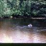 034  August 1981034