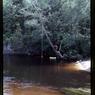 037  August 1981037