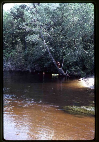037  August 1981037