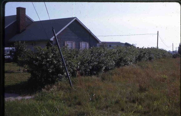 040 447 line road 1965040