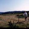 077  447 line road 1962 077