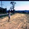 078  447 line road 1962 078