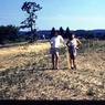 080  447 line road 1962 080