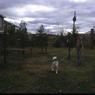 097  447 line road 1972097
