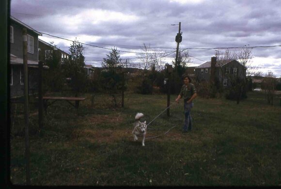 097  447 line road 1972097
