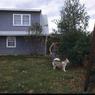 098  447 line road 1972098