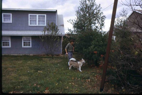 098  447 line road 1972098