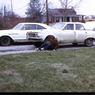 104  447 line road 1973104