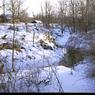 111  447 line road 1968111