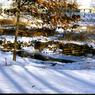 114  447 line road 1968114