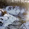 115  447 line road 1968115