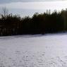 117  447 line road 1968117