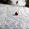 118  447 line road 1968118