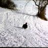 122  447 line road 1968122