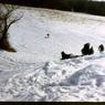 126  447 line road 1968126