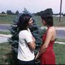 151   447 line road 1974151