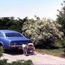 200   447 line road 1976200