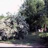 226   447 line road 1976226