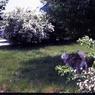 252  447 line road 1976252