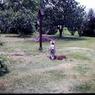 253  447 line road 1976253