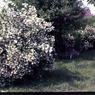 276 May  1976   447 Line Road276
