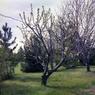 279   447 Line Road279