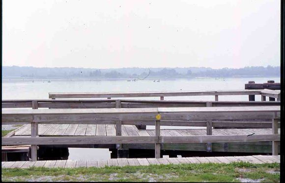 021  1995 claiborne md harbor021