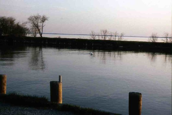 031 1993 claiborne md harbor031