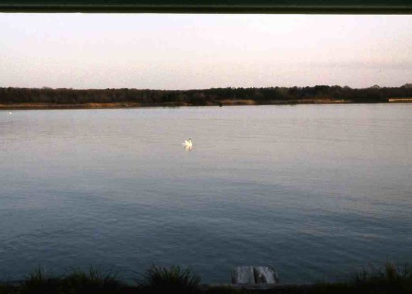 036 1993 claiborne md harbor036