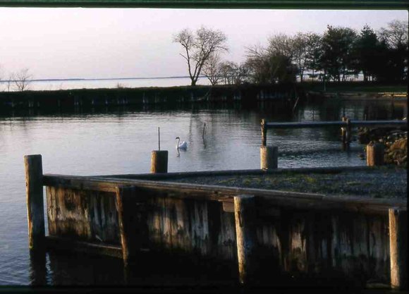 040 1993 claiborne md harbor040