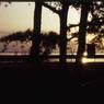 043 1993 claiborne md harbor043